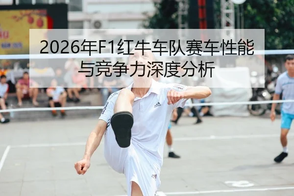 nian-hong-niu-che-dui-sai-che-xing-neng-yu-jing-zheng-li-shen-du-fen-xi-2-447.jpg