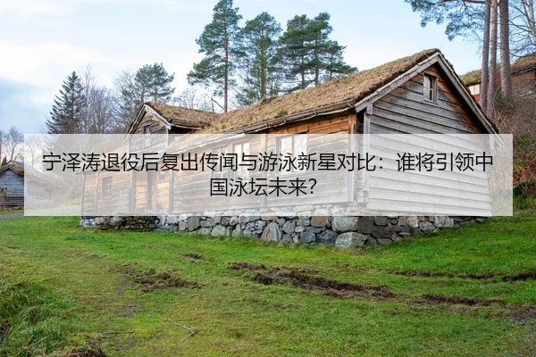 ning-ze-tao-tui-yi-hou-fu-chu-chuan-wen-yu-you-yong-xin-xing-dui-bi-shui-jiang-yin-ling-zhong-guo-yong-tan-wei-lai-2-462.jpg