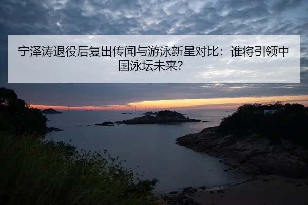 宁泽涛退役后复出传闻与游泳新星对比：谁将引领中国泳坛未来？