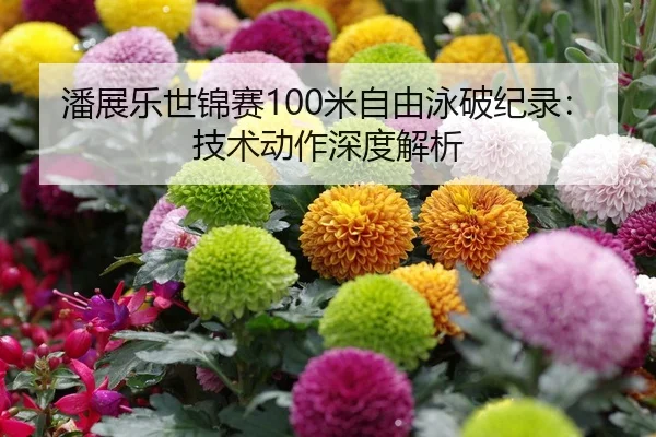 潘展乐世锦赛100米自由泳破纪录：技术动作深度解析
